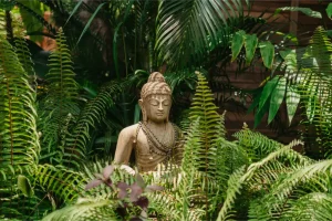 Buddha statue placed between ferns at Mojigao Resort in Assagao Goa