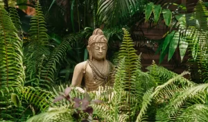 Buddha statue placed between ferns at Mojigao Resort in Assagao Goa